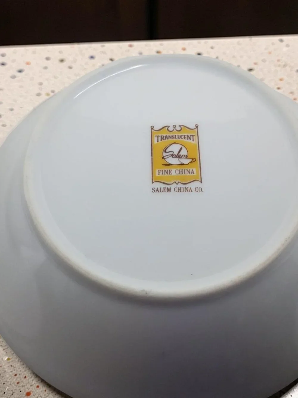 Vintage Salem China Co Translucent Lace Bouquet Fine China Dessert Bowl with Pla